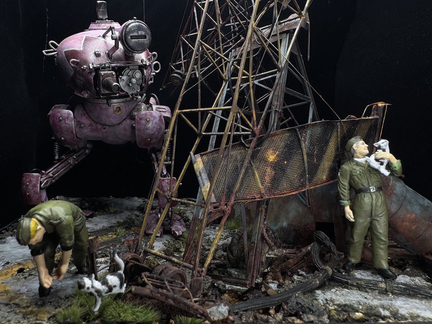 【Suche nach Katze】