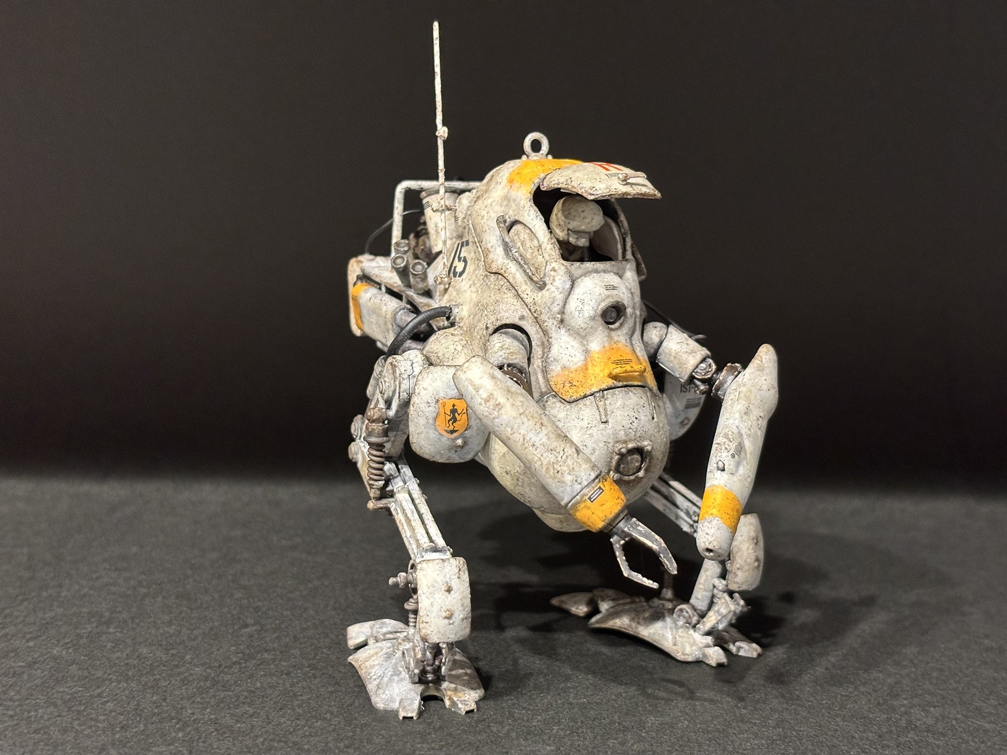 【冬季カングール】