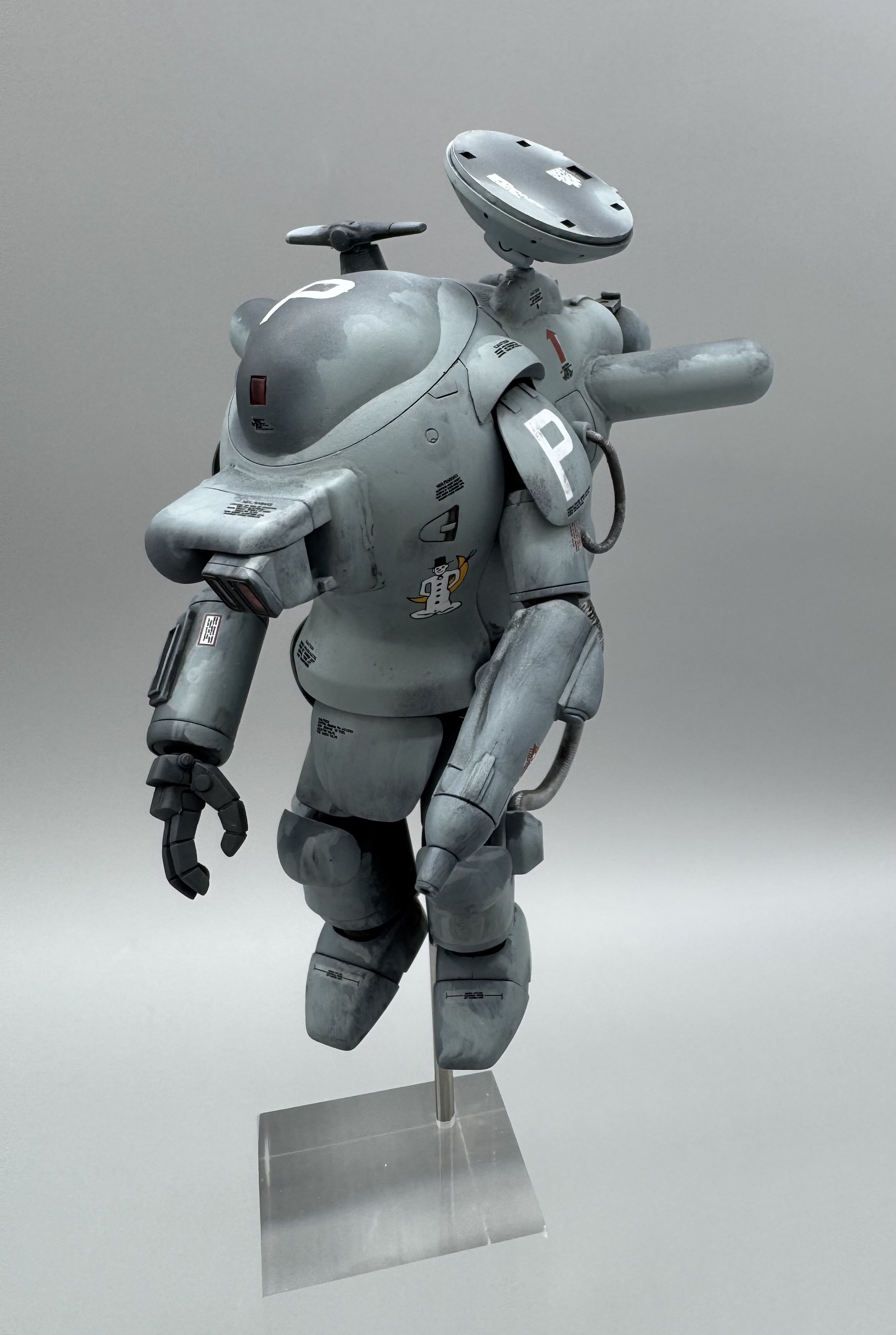 【シーピッグ】