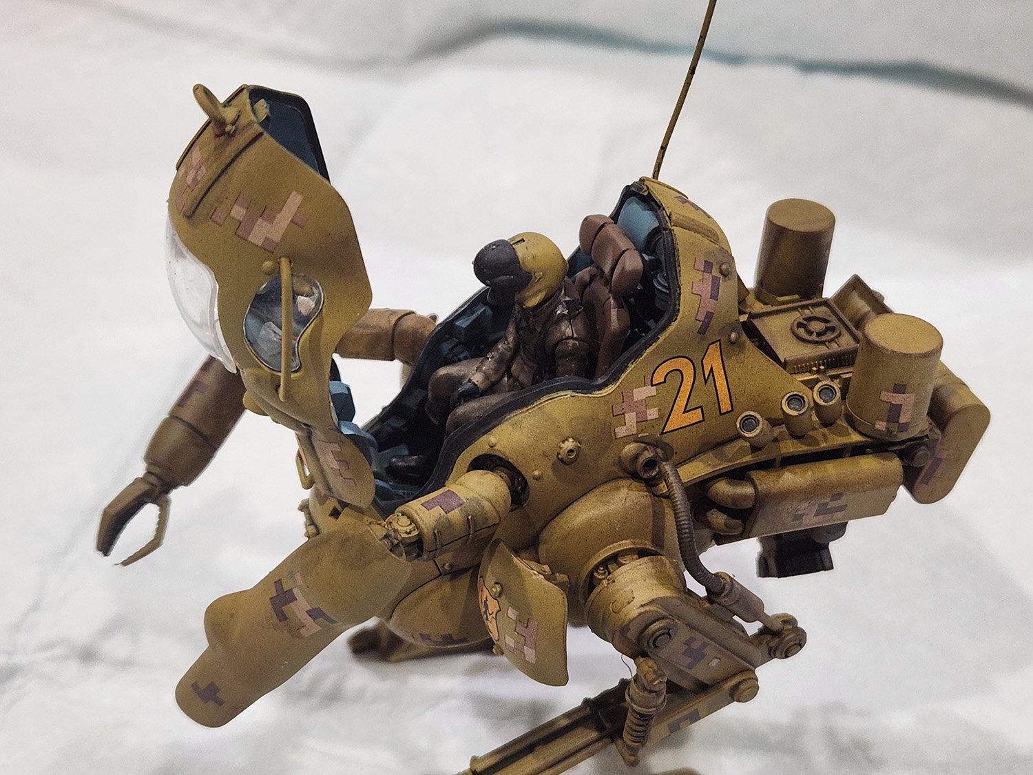 【Oklahoma Kangaroo】