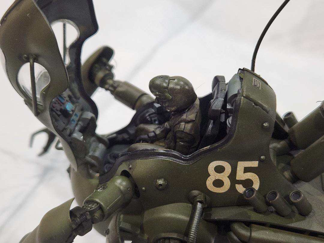 【P.K.A. Kangaroo】