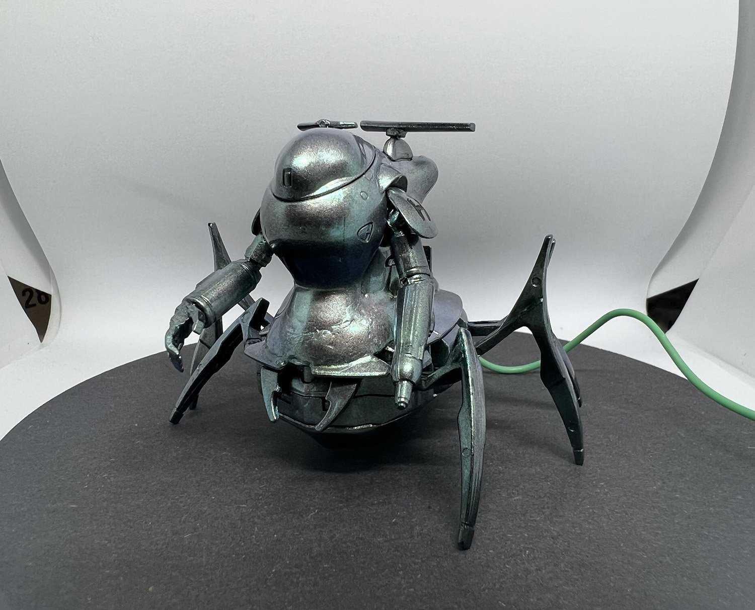 【コガネムシ】