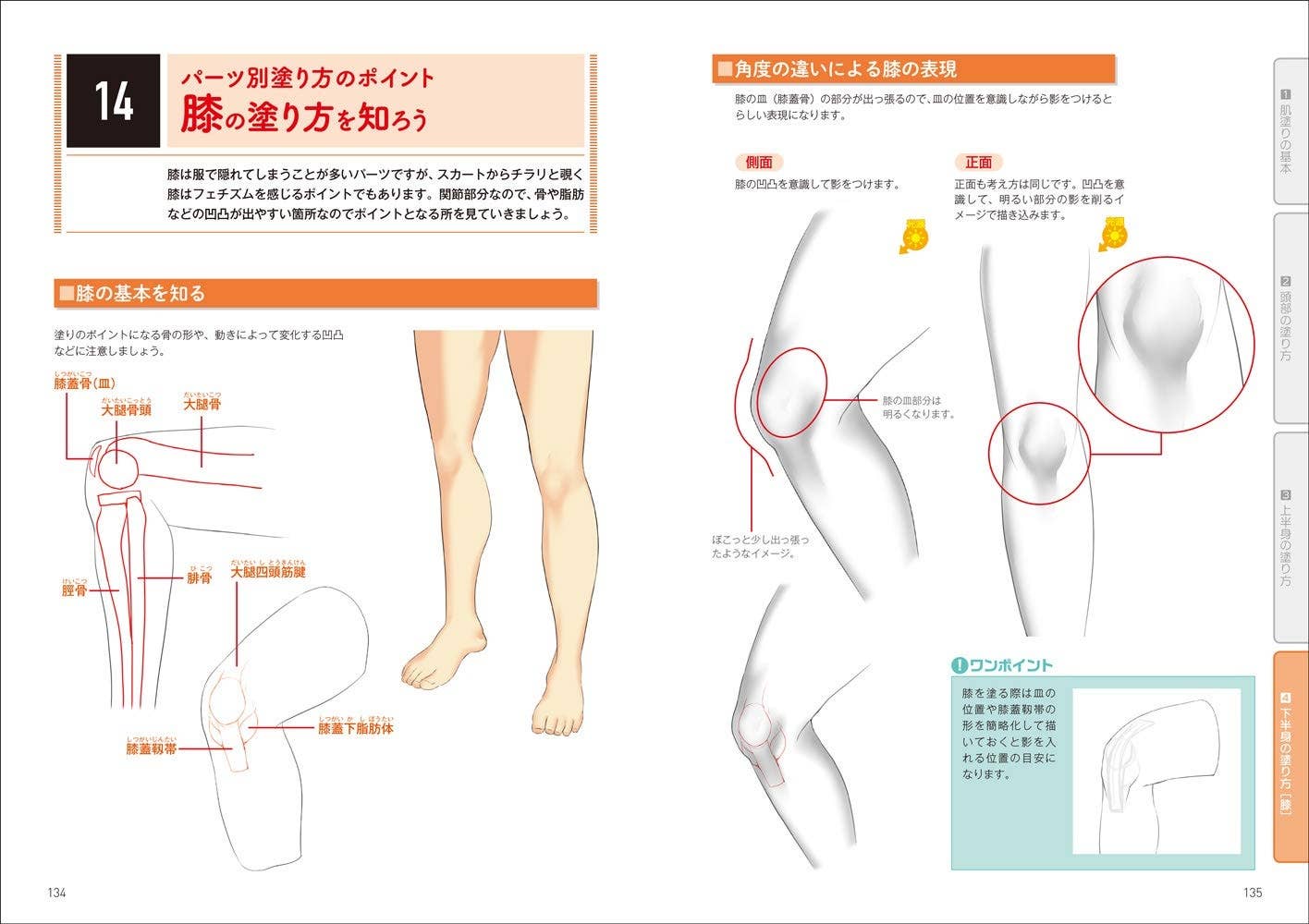 美少女イラストのリアルな肌の塗り方