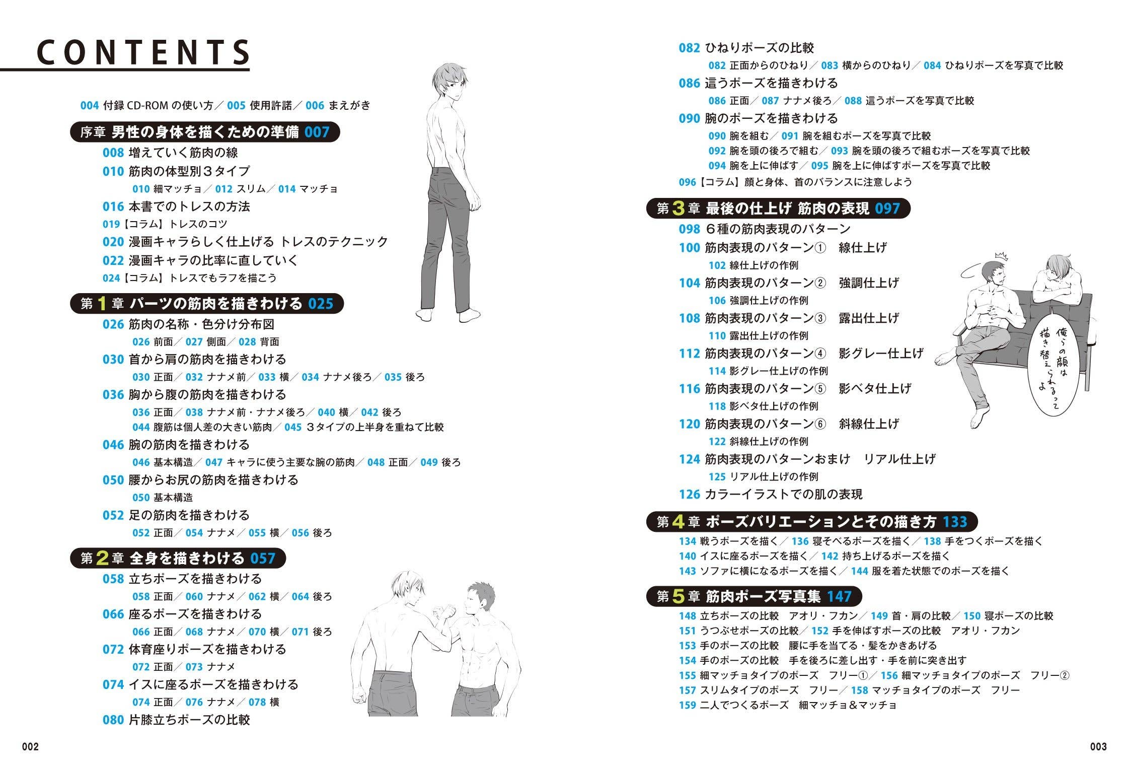 男の筋肉の描き方 Hlj Co Jp
