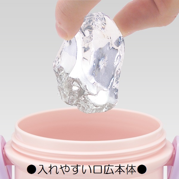 ポケットモンスター 食洗機対応直飲みプラワンタッチボトル 480ml