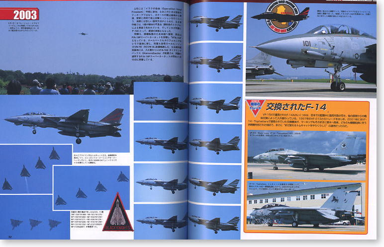 エアショーDVD Vol. F-14 トムキャットラストフライト