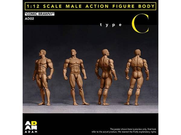 1/12 [AD-02C] コミックブラウニー男性素体C / Tan Skin
