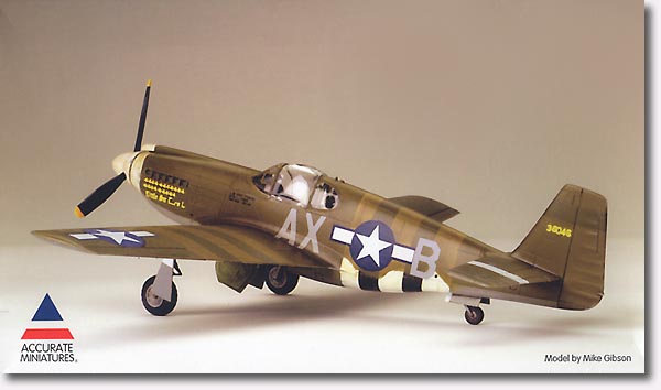 1/48 F-6B Tac Recce マスタング