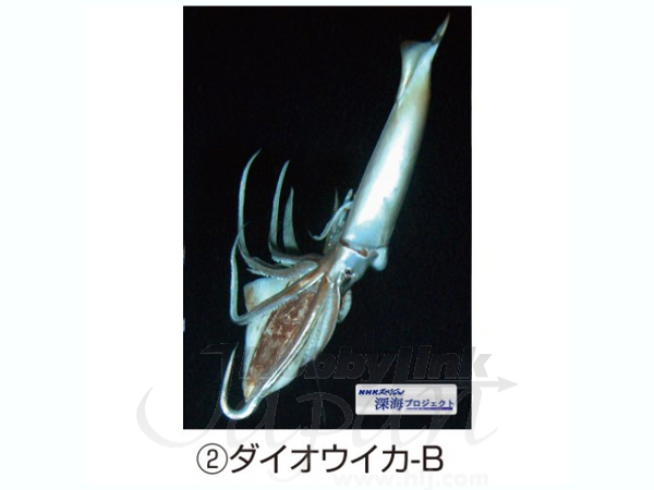 深海プロジェクト/ 3Dポストカード ダイオウイカ B