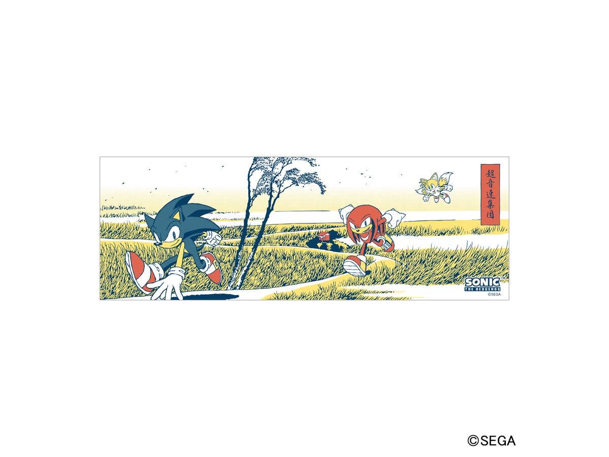 ソニック・ザ・ヘッジホッグ: 手ぬぐい 4. TEAM SONIC
