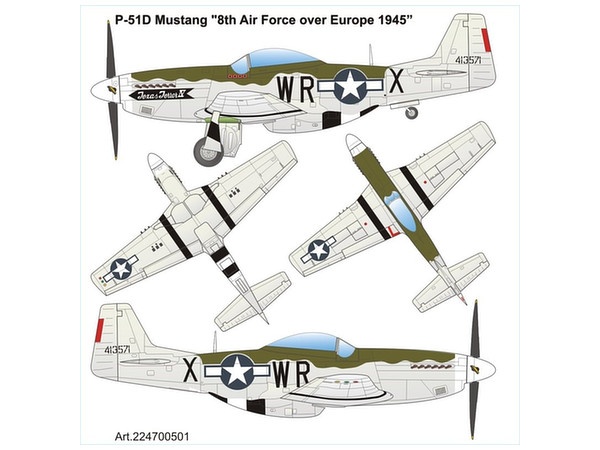 1/87 P-51D マスタング (テキサステラーIV) 第8空軍