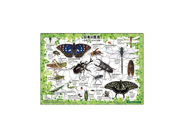 ピクチュアパズル 日本の昆虫 35ピース (375 x 260mm)