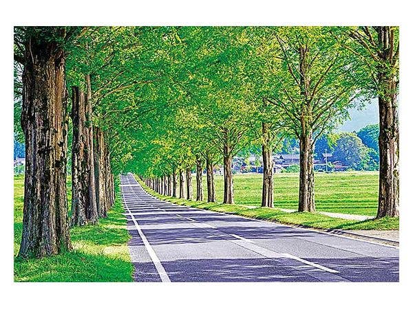 ジグソーパズル ファンタジック パリ 1000ピース (75cm x 50cm) | HLJ