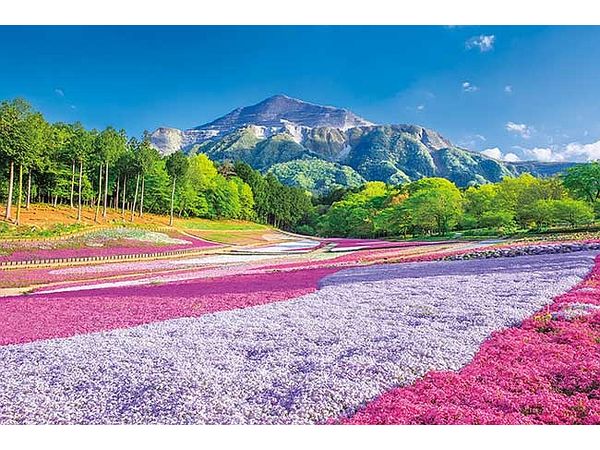 ジグソーパズル: 春のじゅうたん 羊山公園 1000P