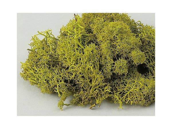 アイスランドモススプリンググリーン