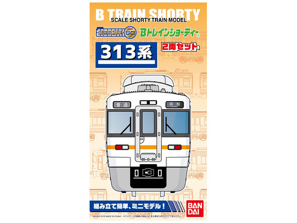 313系 (2両入り)