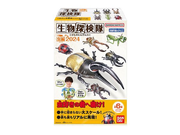 生物探検隊 虫編二〇二四 1Box 10pcs