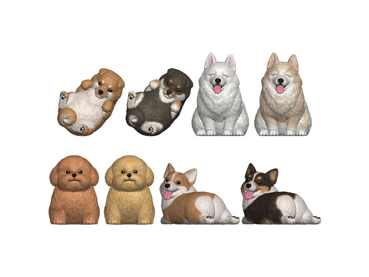 もっちりころりん おいぬ 1Box 12pcs