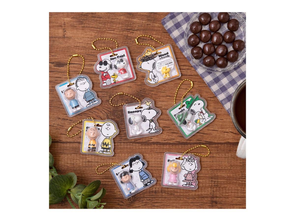 PEANUTS -SNOOPY- パッケージチャーム&チョコボーロ 1Box 10pcs