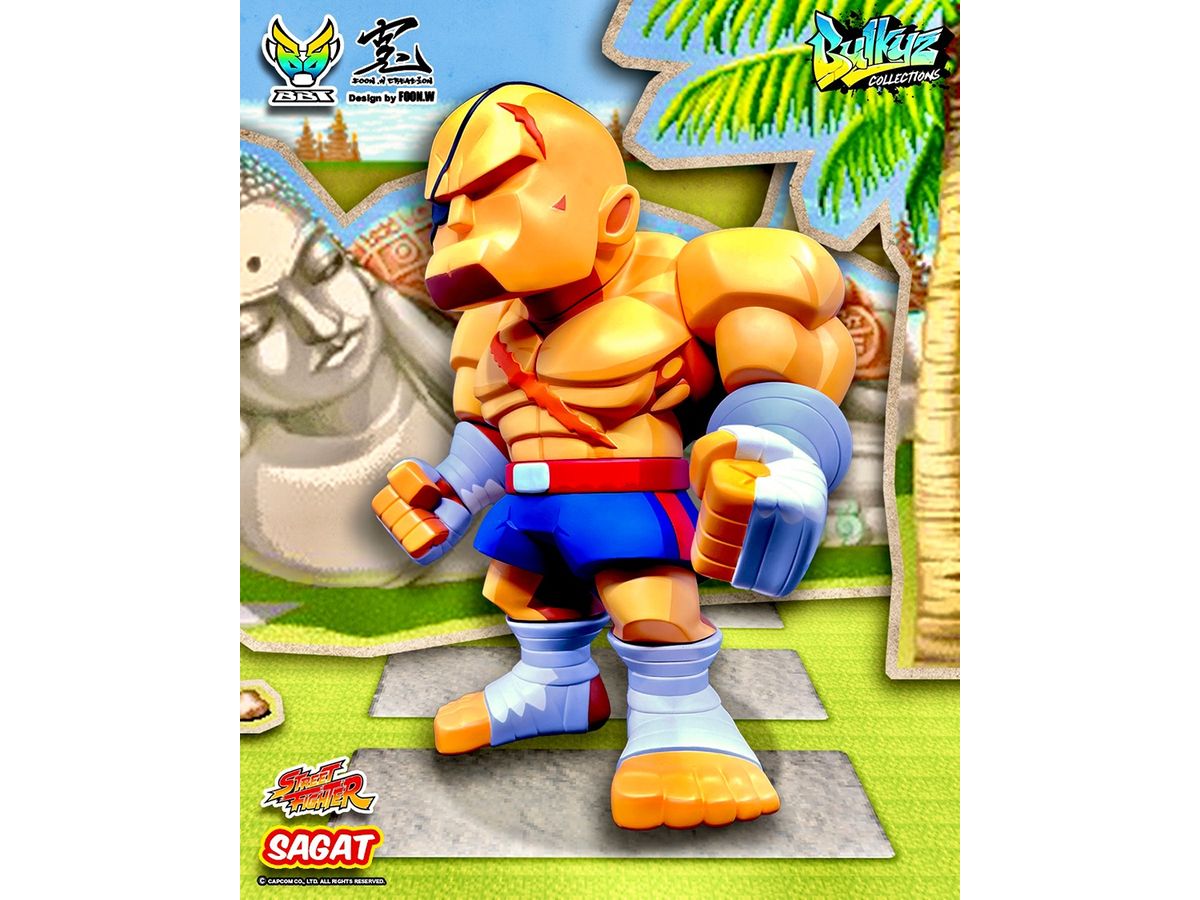 STREET FIGHTER Bulkyz Collections サガット
