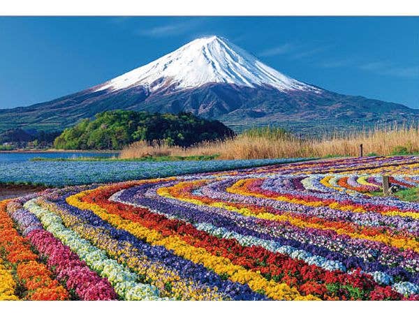 ジグソーパズル 風景日本: 富士を望む花色絨毯 1000ピース (72 x 49cm)