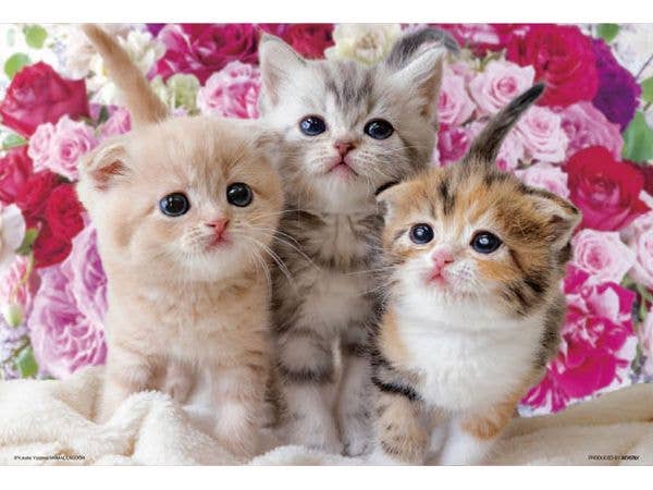 ジグソーパズル ペット: 幸せを運ぶ3匹のねこ 300ピース (38 x 26cm)