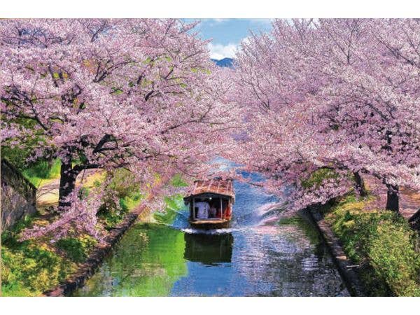 ジグソーパズル 風景日本 (桜): 桜と伏見十石舟 1000マイクロピース (38 x 26cm)
