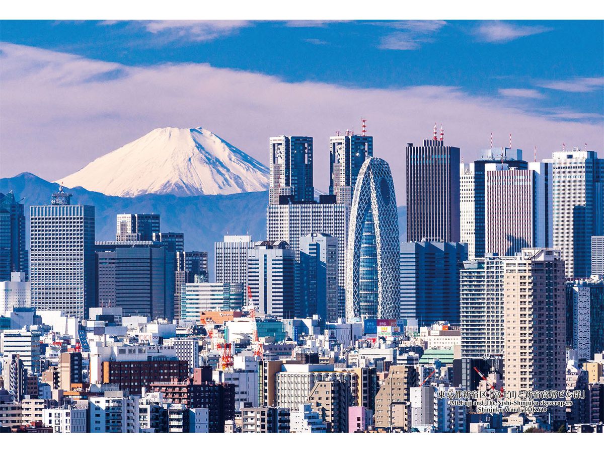 ジグソーパズル: 東京都新宿区 富士山と新宿高層ビル群 300P (26 x 38cm)