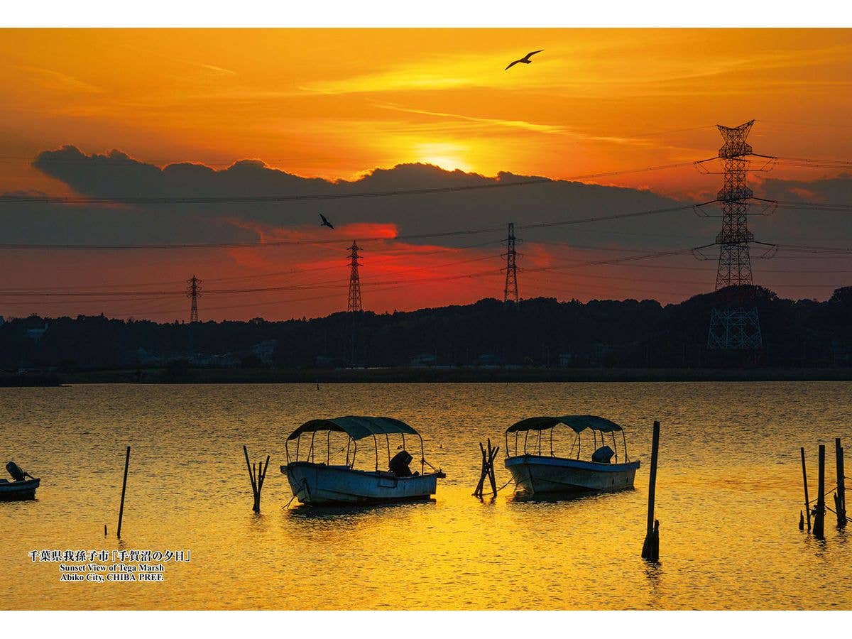 シリーズ・日本の都市96 千葉県我孫子市 手賀沼の夕日 300pcs (260 x 380mm)