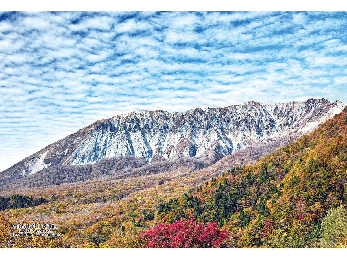 シリーズ・日本の都市 113 鳥取県日野郡 鍵掛峠 300ピース (260 x 380mm)