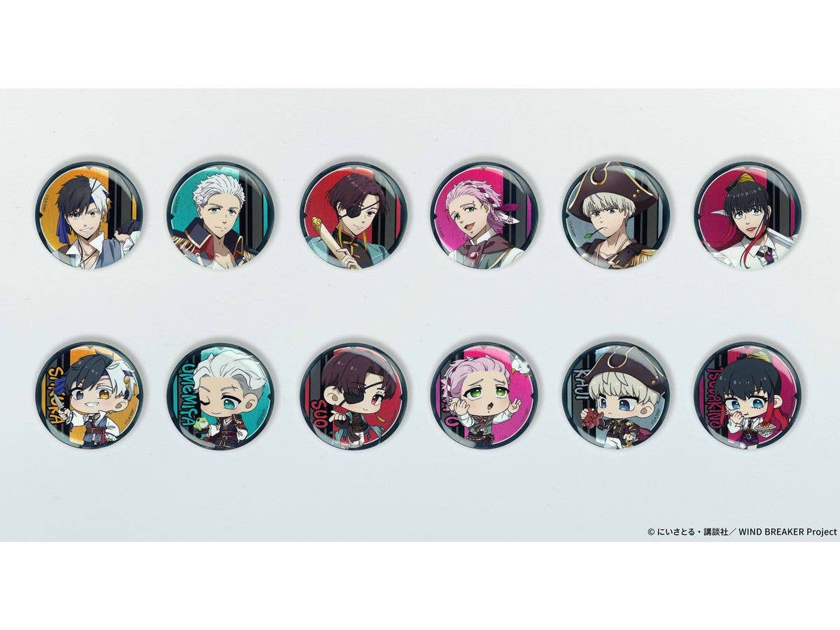AFORCE x DRAGON HORSE WIND BREAKER (海賊Ver.) トレーディング缶バッジ 1Box 12pcs