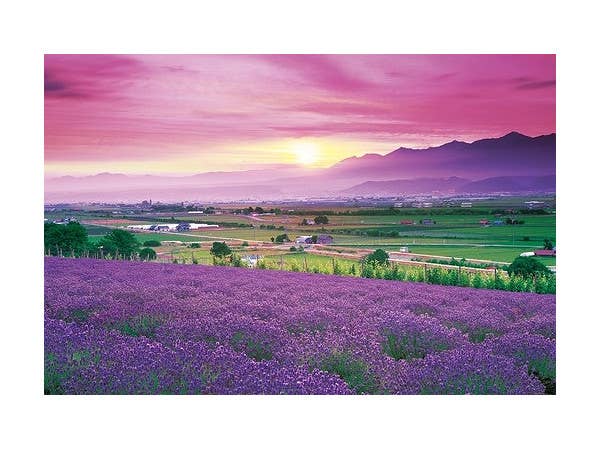 ジグソーパズル: 遥かな尾瀬-群馬 1000ピース (50cm x 75cm) | HLJ.co.jp