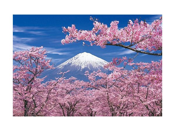 ジグソーパズル: 春景富士 静岡 300ピース (26 x 38cm)