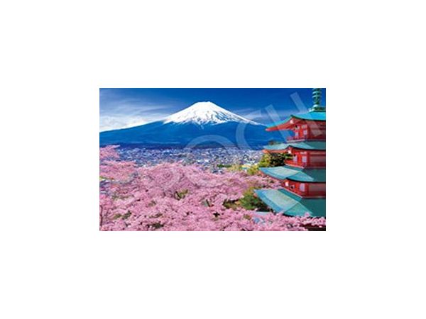春風富士と五重塔ー山梨 500ssp (182 x 257mm)
