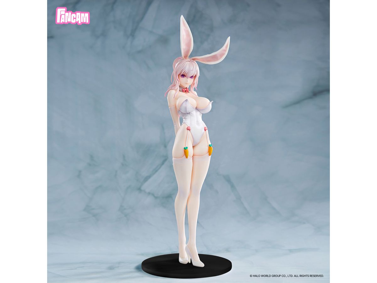 1/6 Bunny Girls 白兎