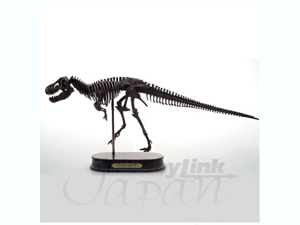 ティラノサウルス スケルトンモデル
