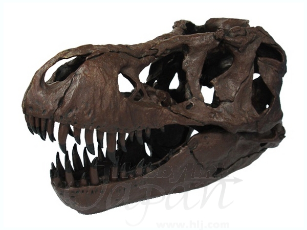 ティラノサウルス ビックスカル