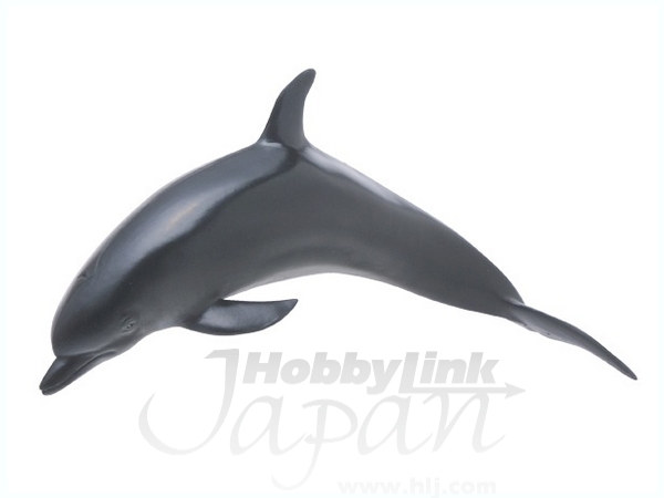 バンドウイルカ