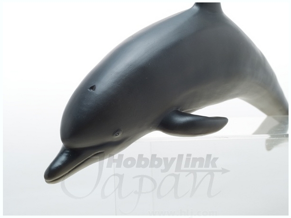 バンドウイルカ ビニールモデル
