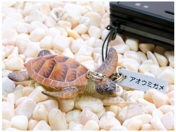 リアルフィギュア ストラップ アオウミガメ