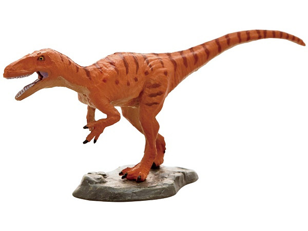恐竜 フクイラプトル ミニモデル(FDW-210)