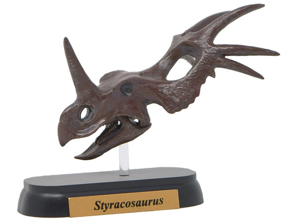 FDW-507 スティラコサウルス スカル ミニモデル
