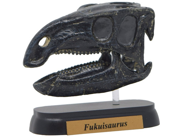 FDW-511 フクイサウルス スカル ミニモデル