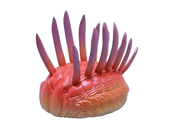ウィワクシア ミニモデル