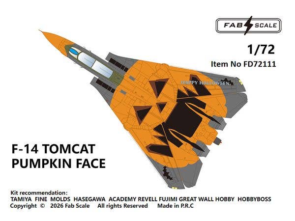 1/72 F-14 トムキャット パンプキンフェイス