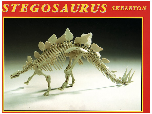 1/24 ステゴサウルス 骨格標本