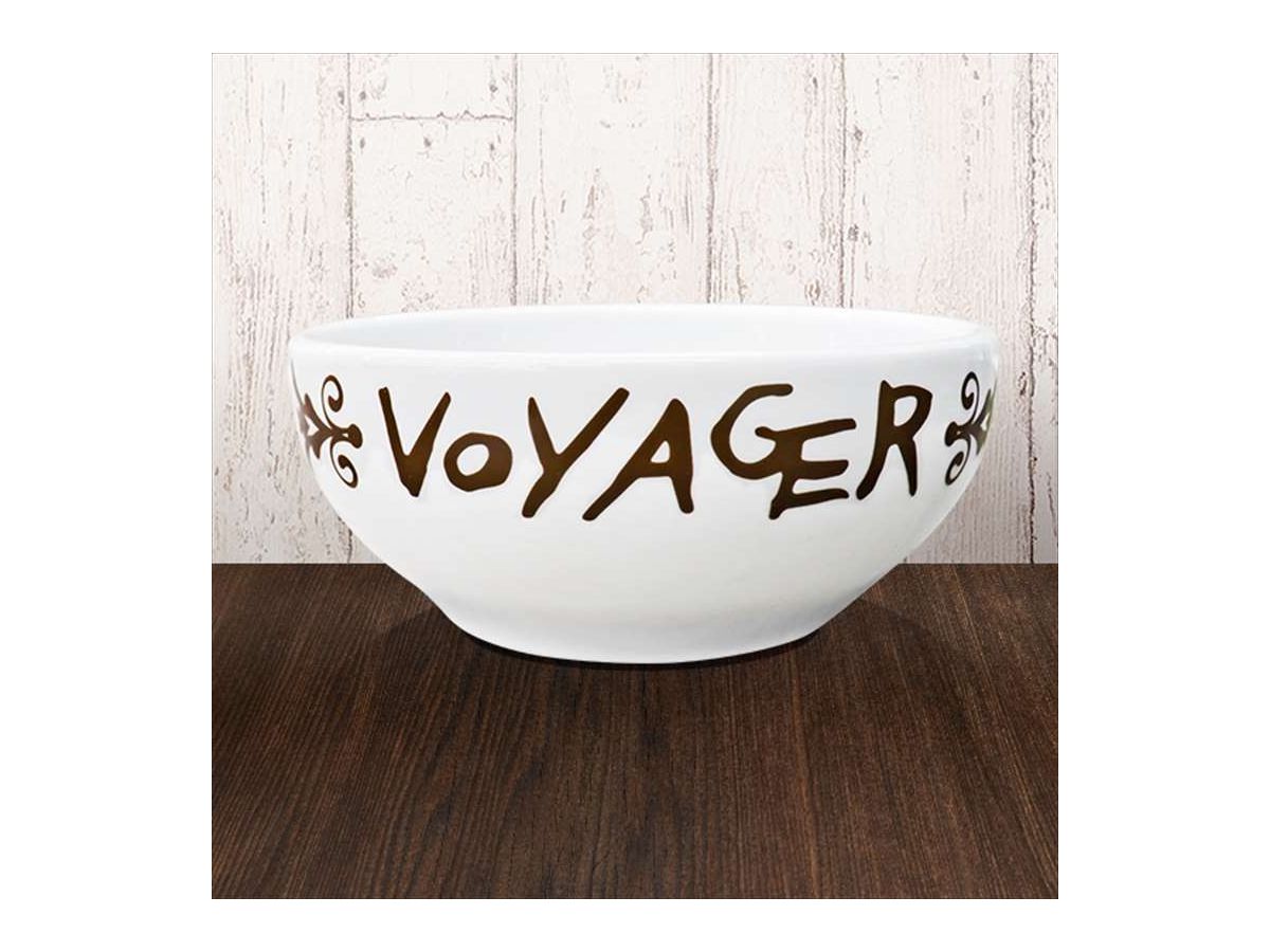 波よ聞いてくれ VOYAGERのスープカレーボウル