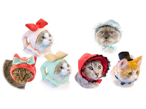 ネコス ふしぎの森のおめかしパーティー 1Box 8pcs