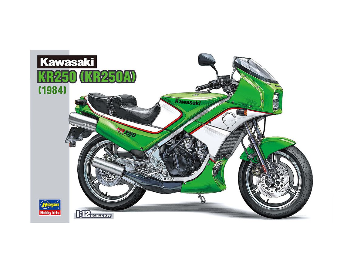 1/12 カワサキ KR250 (KR250A)