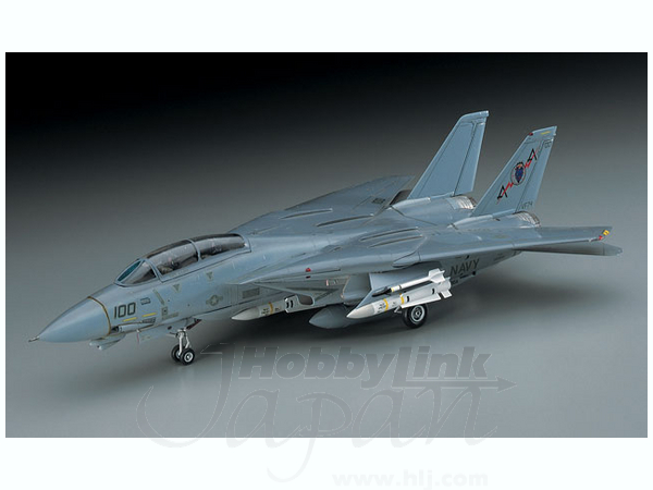 1/72 F-14A トムキャット (ロービジ)